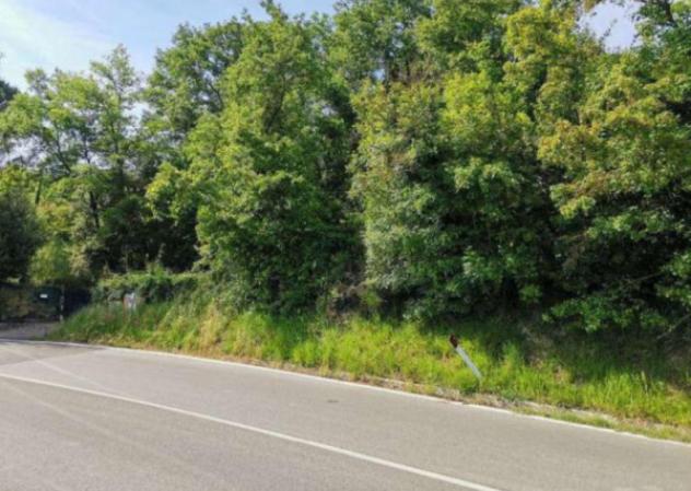terreno agricolo in vendita a San Casciano in Val di Pesa