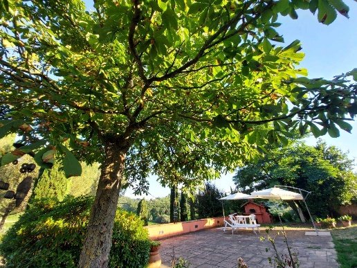 casa indipendente in vendita a San Casciano in Val di Pesa in zona Romola