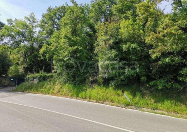 terreno agricolo in vendita a San Casciano in Val di Pesa