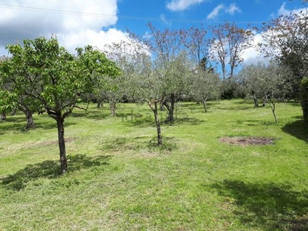 casa indipendente in vendita a San Casciano in Val di Pesa in zona Romola