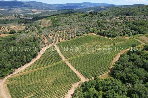 azienda agricola in vendita a San Casciano in Val di Pesa in zona Paolini