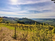 casa indipendente in vendita a San Casciano in Val di Pesa