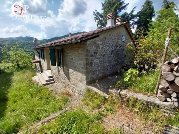 casa indipendente in vendita a San Godenzo in zona Castagneto