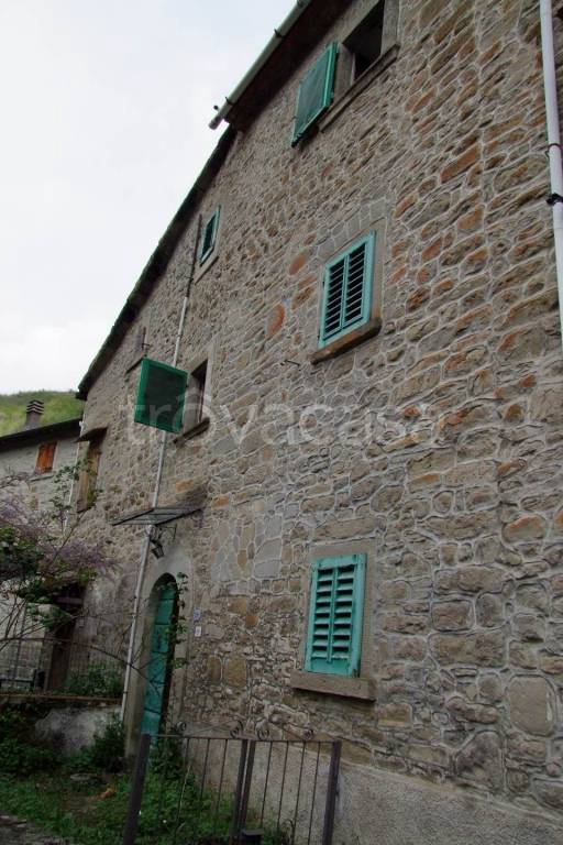 casa indipendente in vendita a San Godenzo in zona Petrognano