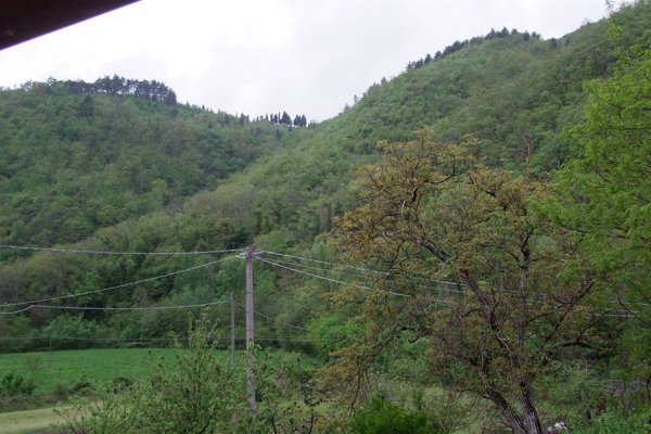 appartamento in vendita a San Godenzo