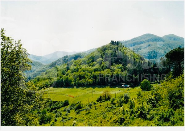 casa indipendente in vendita a San Godenzo