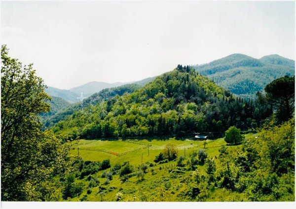 casa indipendente in vendita a San Godenzo