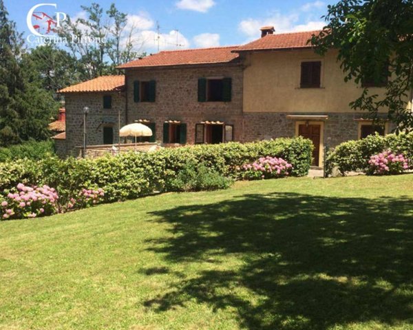 casa indipendente in vendita a San Godenzo in zona San Bavello