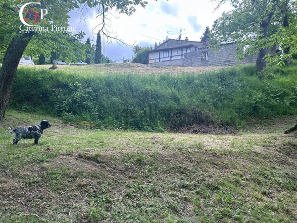appartamento in vendita a San Godenzo in zona Castagneto