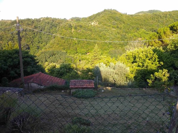 appartamento in vendita a San Godenzo in zona Castagneto