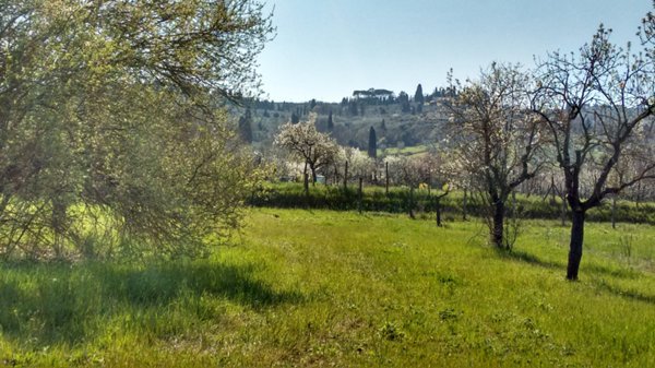 terreno agricolo in vendita a Scandicci in zona Rinaldi