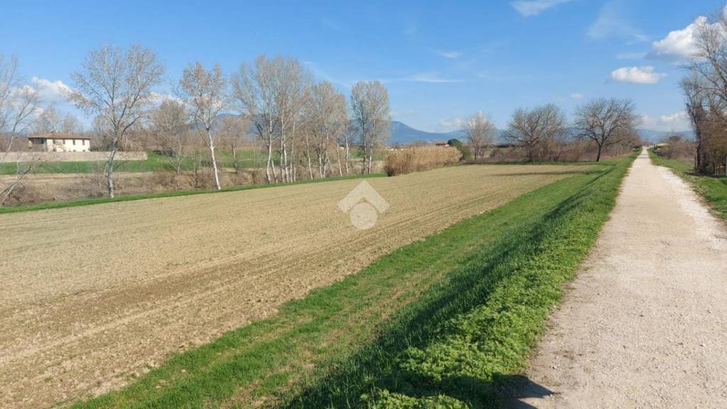 terreno agricolo in vendita a Scandicci in zona Badia a Settimo