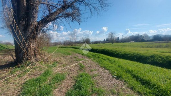 terreno agricolo in vendita a Scandicci in zona Badia a Settimo