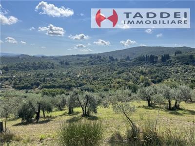 terreno agricolo in vendita a Scandicci