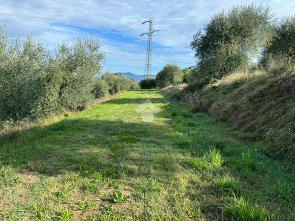 terreno agricolo in vendita a Scandicci in zona Mosciano