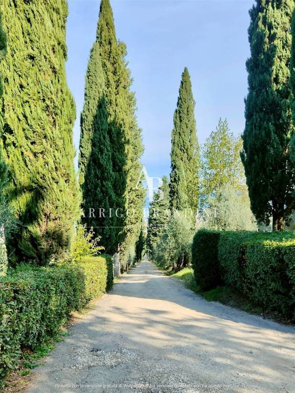 azienda agricola in vendita a Scandicci