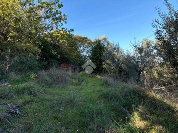 terreno agricolo in vendita a Scandicci in zona San Martino alla Palma