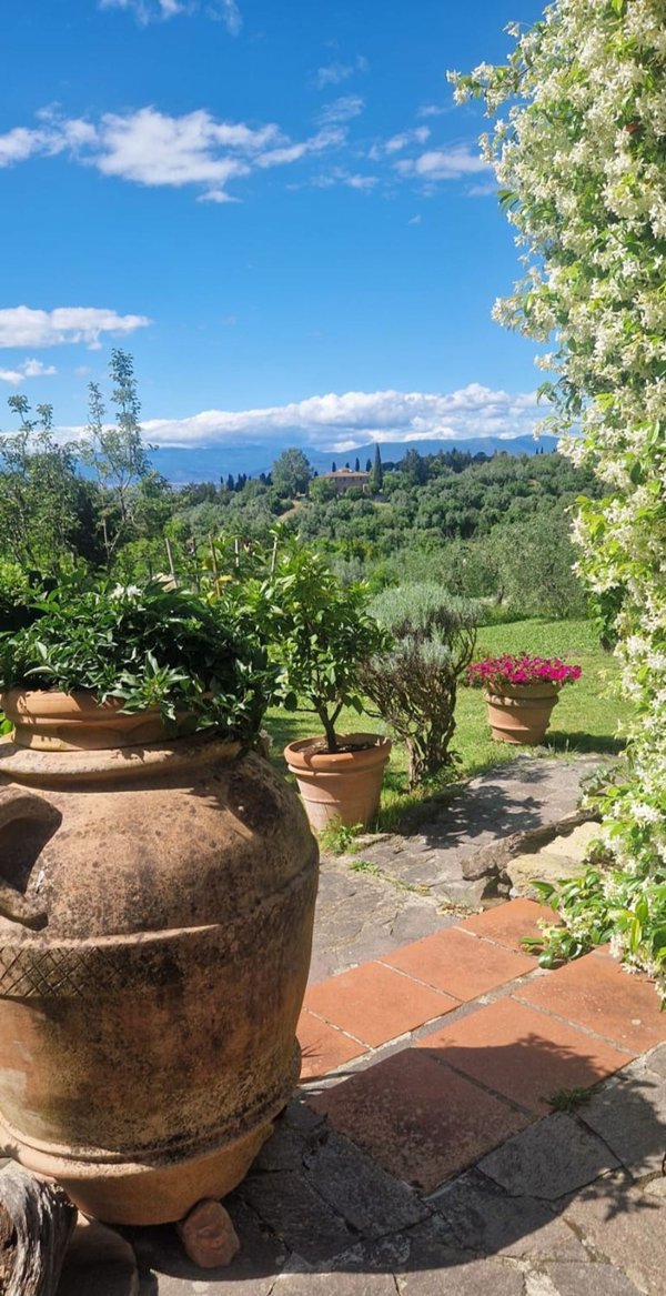 esavano in vendita a Scandicci
