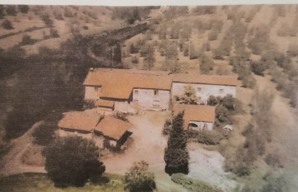 appartamento in vendita a Scandicci in zona San Martino alla Palma