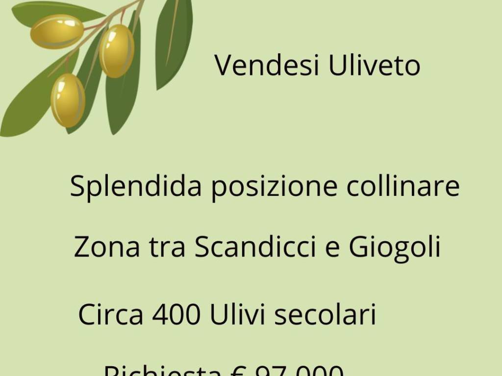 terreno agricolo in vendita a Scandicci