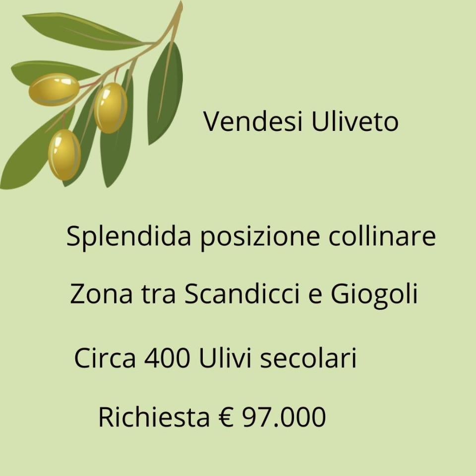 terreno agricolo in vendita a Scandicci