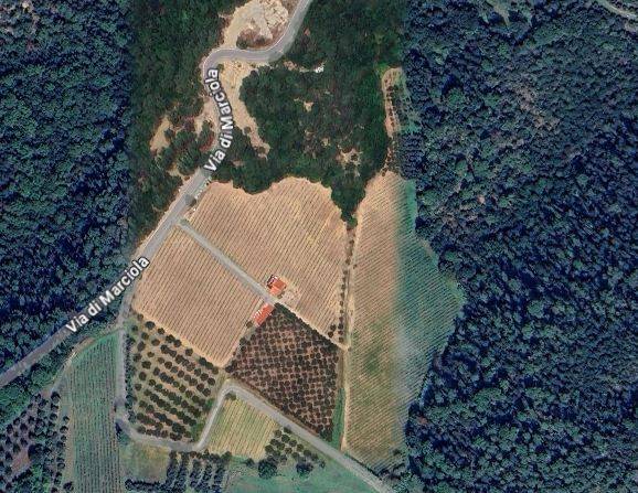 terreno agricolo in vendita a Scandicci in zona San Vincenzo a Torri