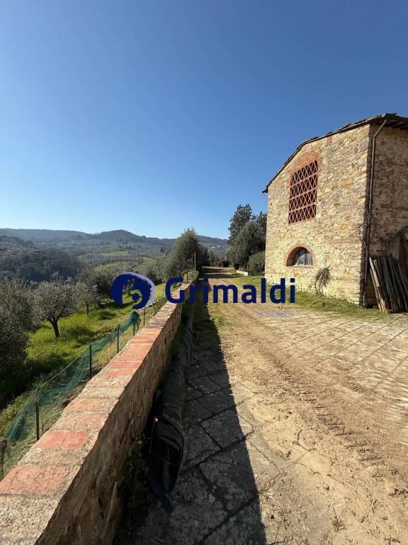 azienda agricola in vendita a Scandicci