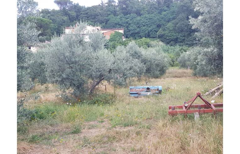 terreno agricolo in vendita a Scandicci in zona Mosciano
