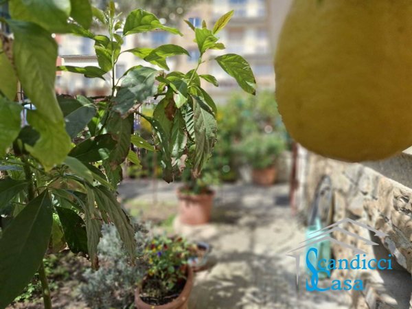appartamento in vendita a Scandicci