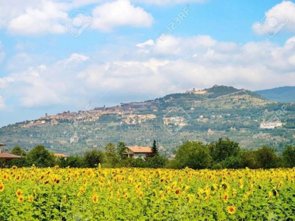 azienda agricola in vendita a Scandicci in zona Casellina