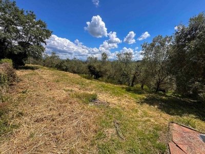 appartamento in vendita a Scandicci