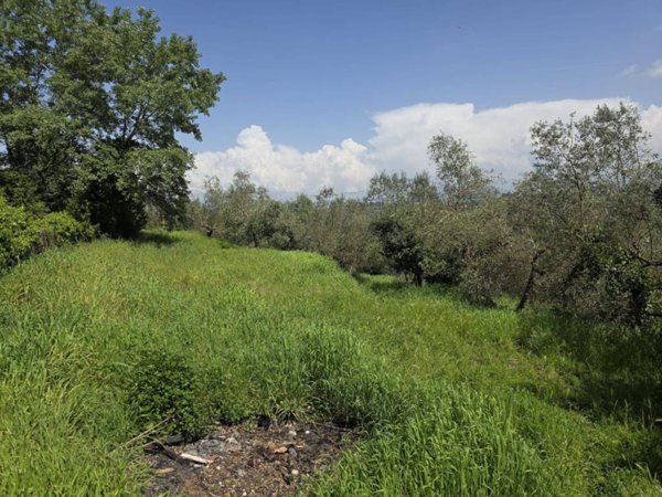 appartamento in vendita a Scandicci in zona Mosciano