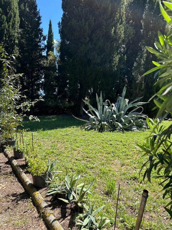 appartamento in vendita a Scandicci
