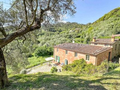 casa indipendente in vendita a Scandicci