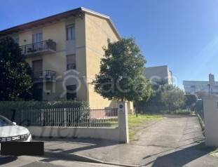 appartamento in vendita a Scandicci in zona Casellina