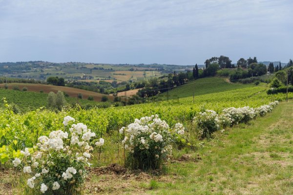 appartamento in vendita a Scandicci