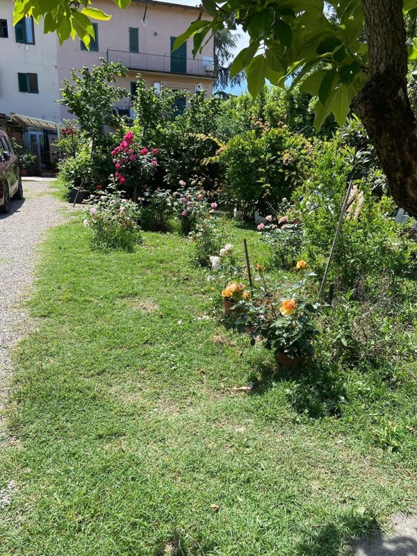 appartamento in vendita a Scandicci in zona Casellina