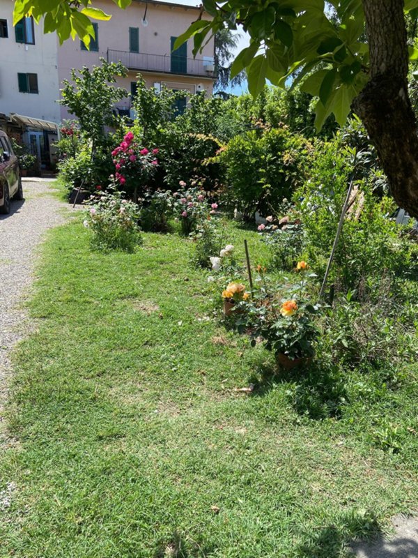 appartamento in vendita a Scandicci in zona Casellina