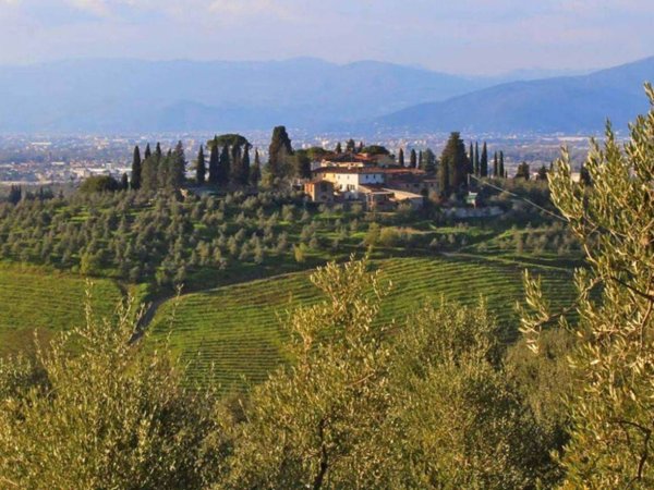 azienda agricola in vendita a Scandicci