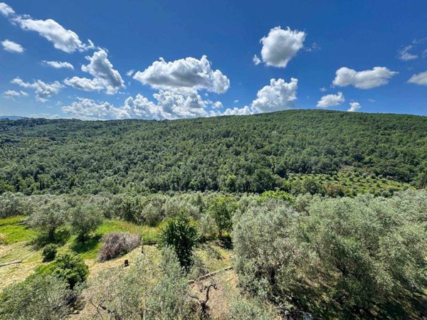 appartamento in vendita a Scandicci