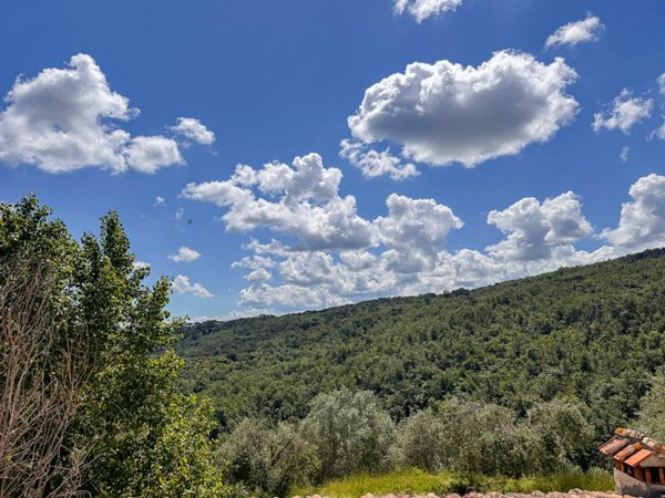 appartamento in vendita a Scandicci