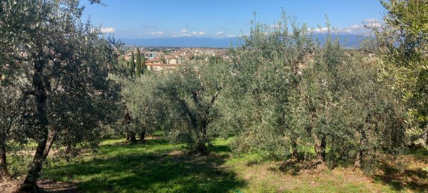 terreno agricolo in vendita a Scandicci in zona Scandicci Alto