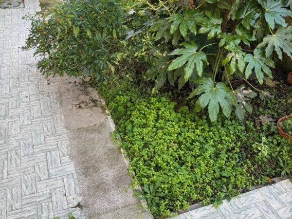 casa indipendente in vendita a Scandicci