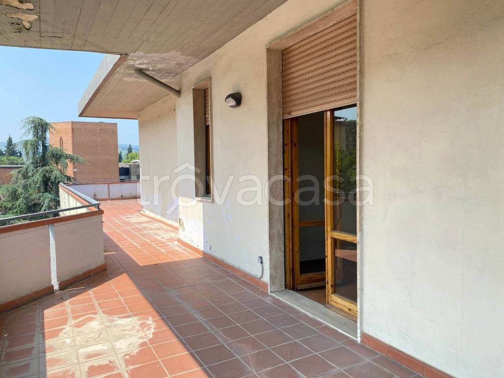 immagine annuncio 0 di 13