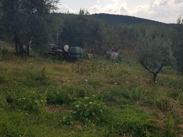 terreno agricolo in vendita a Scandicci in zona Mosciano