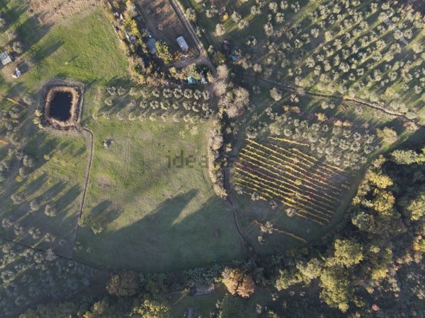 terreno agricolo in vendita a Scandicci in zona Rinaldi