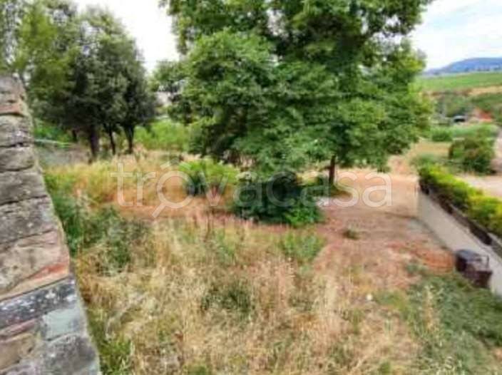 terreno agricolo in vendita a Scandicci