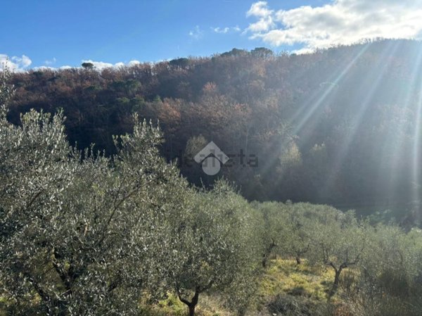 terreno agricolo in vendita a Scandicci in zona Mosciano