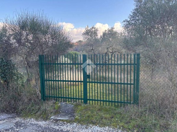 terreno agricolo in vendita a Scandicci