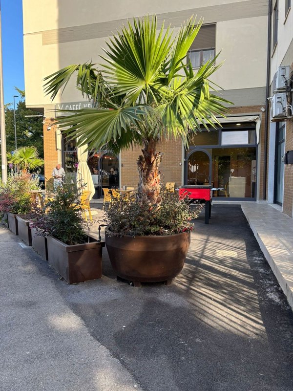 negozio in vendita a Scandicci in zona Casellina